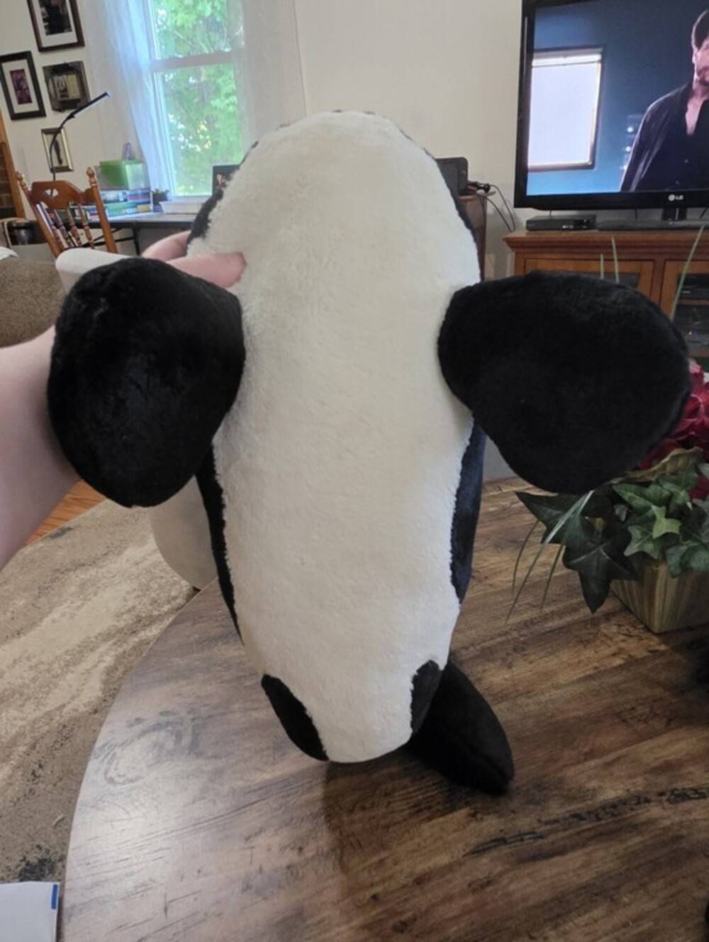 Seaworld Orca Killer Whale Plush - Picture 4 of 6